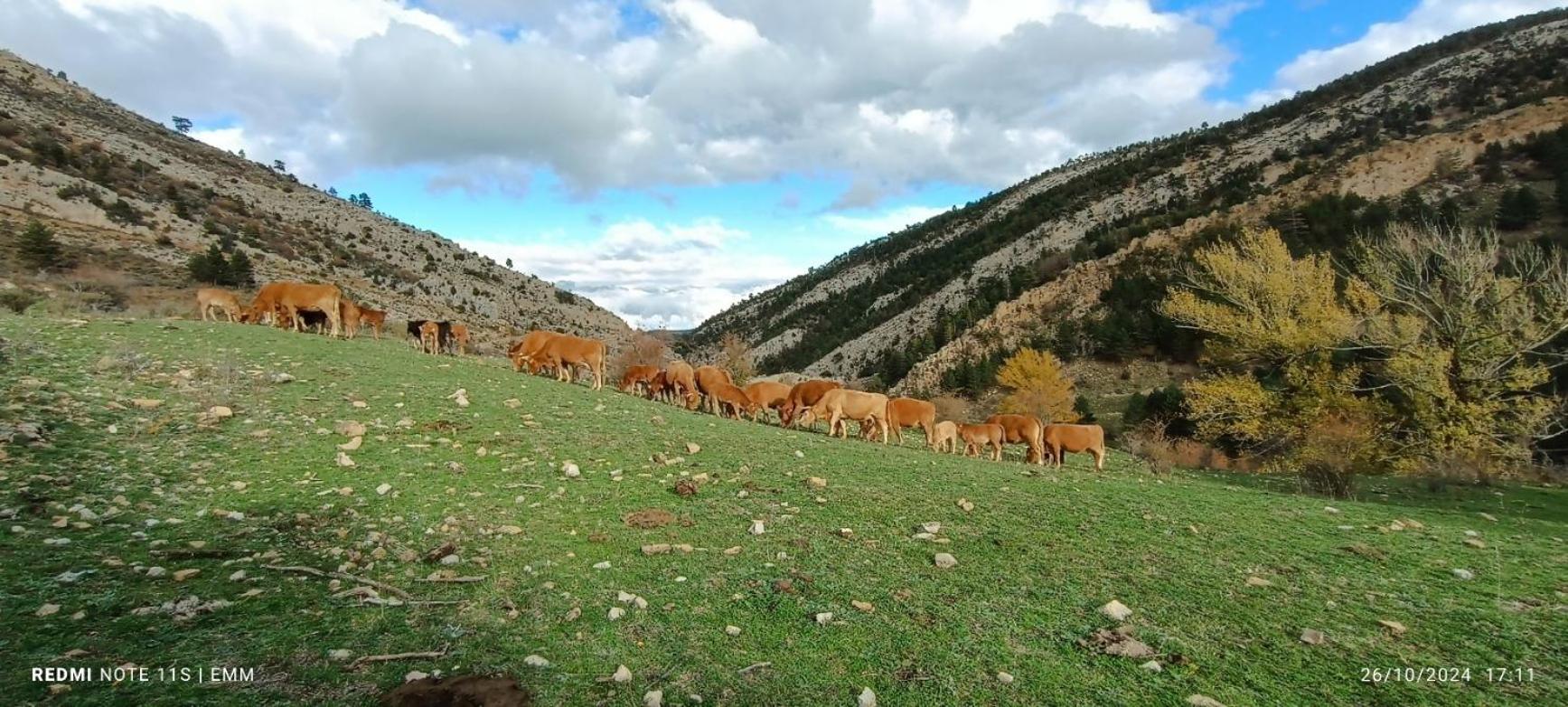 Apartamentos De Turismo Rural La Rocha Fortanete エクステリア 写真